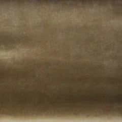 ALTM 19