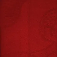 NTSf207