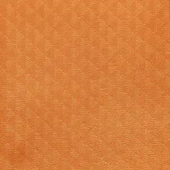 NTSk9