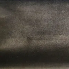 ALTM 79