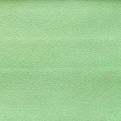 NTCr4