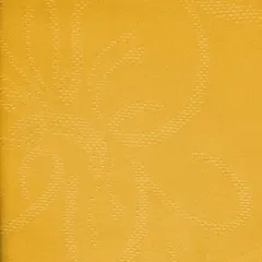 NTSf204
