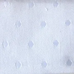 NTSr0