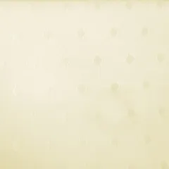 NTSr302