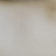 ALTM 56