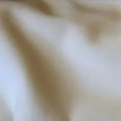 ALTM 1